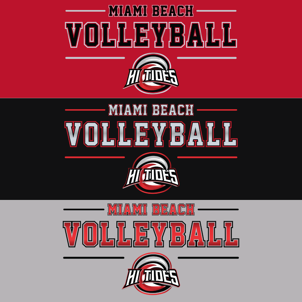MIAMI BEACH VOLLEYBALL PROBLOCK